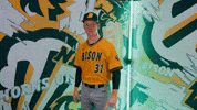 Baseball Bison GIF by NDSU Athletics