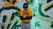 Baseball Bison GIF by NDSU Athletics
