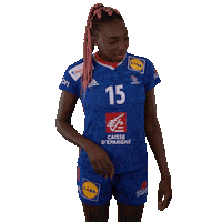 Ffhandball Sticker by Fédération Française de Handball