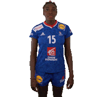 Ffhandball Sticker by Fédération Française de Handball