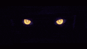 GIF by League of Legends