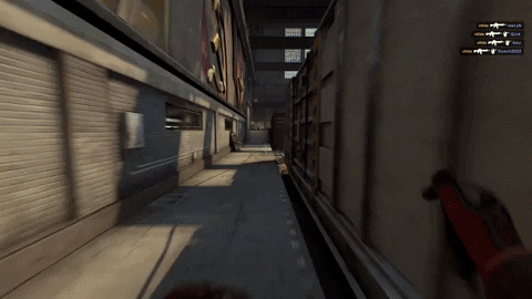 Counter Strike Videogame GIF by Do Not Peek Entertainment