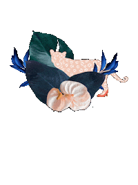 Jungle Leopard Sticker by Uhana