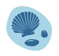 Beach Bird Sticker by Ecostore