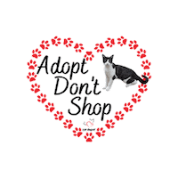 Heart Adopt Sticker by Cat Depot
