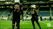 Arizona Cardinals Football GIF by NFL