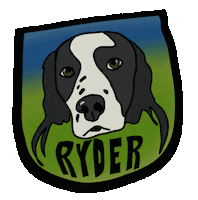 Springer Spaniel Ryder Sticker