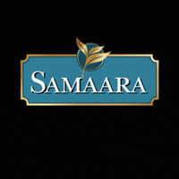 SamaaraTea tea chai lipton taj GIF