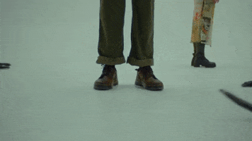 Venus Fly Trap GIF by Brakence