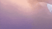 selena gomez GIF by AMAs