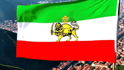 Omid_9976 iran persian ایران pahlavi GIF