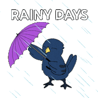 Bitcoin Rain Sticker by Ordinary Frends