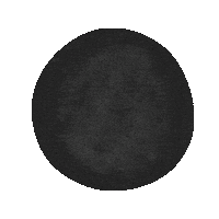 Nest Jafra Sticker by Jafra Productions