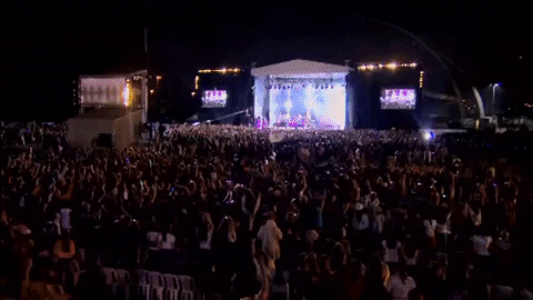 alejandropuga21 giphyupload GIF