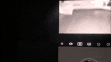 LKPM giphygifmaker GIF