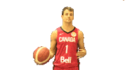 Nick Nurse Game Sticker by FIBA