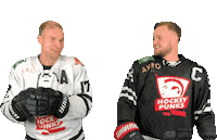 Hockey Sticker by ledoritulys.lt