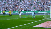 Flavio Lechiagif GIF by Lechia Gdansk