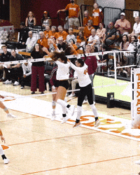 Volleyball GIF by Texas Longhorns