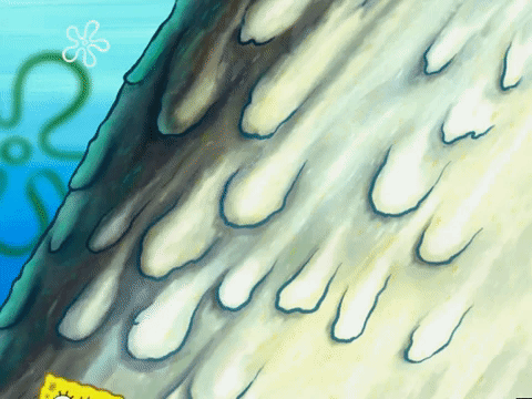 season 5 GIF by SpongeBob SquarePants