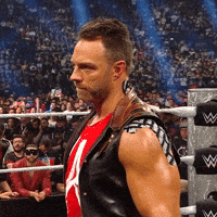 Eyebrow Raise GIF by WWE