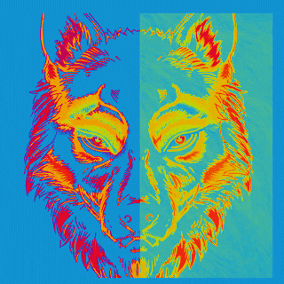 falseidolbrewing giphyupload wolf wolves wolfpack GIF