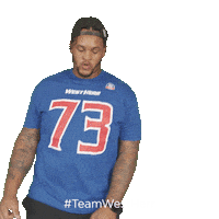 Buffalo Bills Sticker by West Herr