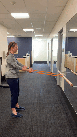 TRIAGiphy giphygifmaker GIF