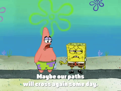 season 4 GIF by SpongeBob SquarePants