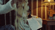Desert Rose GIF by Lolo Zouaï