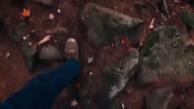 michigan GIF