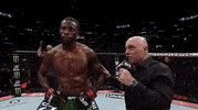Mixed Martial Arts Fighting GIF by UFC