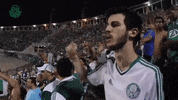 pacaembu porcoembu GIF by SE Palmeiras