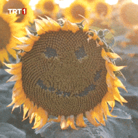 Happy Good Morning GIF by TRT