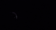 Friday The 13Th Horror GIF by Coolidge Corner Theatre