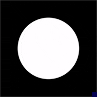 black and white animation GIF by The New Big Poppa E