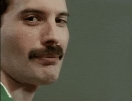 Celebrity gif. Freddie Mercury looks at us with a smirk and then winks. 