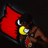 University Of Louisville GIF by Louisville Cardinals