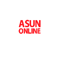 Ecommerce Asum Sticker by Asun Supermercados
