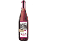 Wine Bottle Drink Sticker by formosawinery