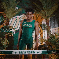South Florida Horns Up GIF by USF Athletics