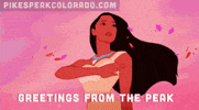 Driving Road Trip GIF by Drive Pikes Peak