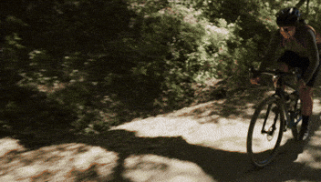 Wheels Carbon GIF by Wilderness Trail Bikes