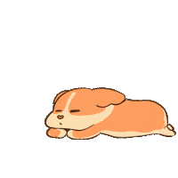 Dog Ok Sticker