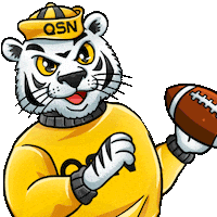 Football Throw Sticker by QSN