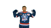 Eishockey Sticker by EC Kassel Huskies