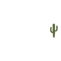 Country Cowboy Sticker by Velho Oeste Store