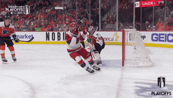 Happy Stanley Cup GIF by NHL