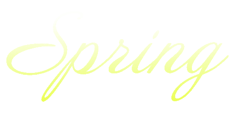 Spring 春 Sticker