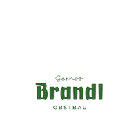 BrandlObstbau baden frucht artline früchte Sticker